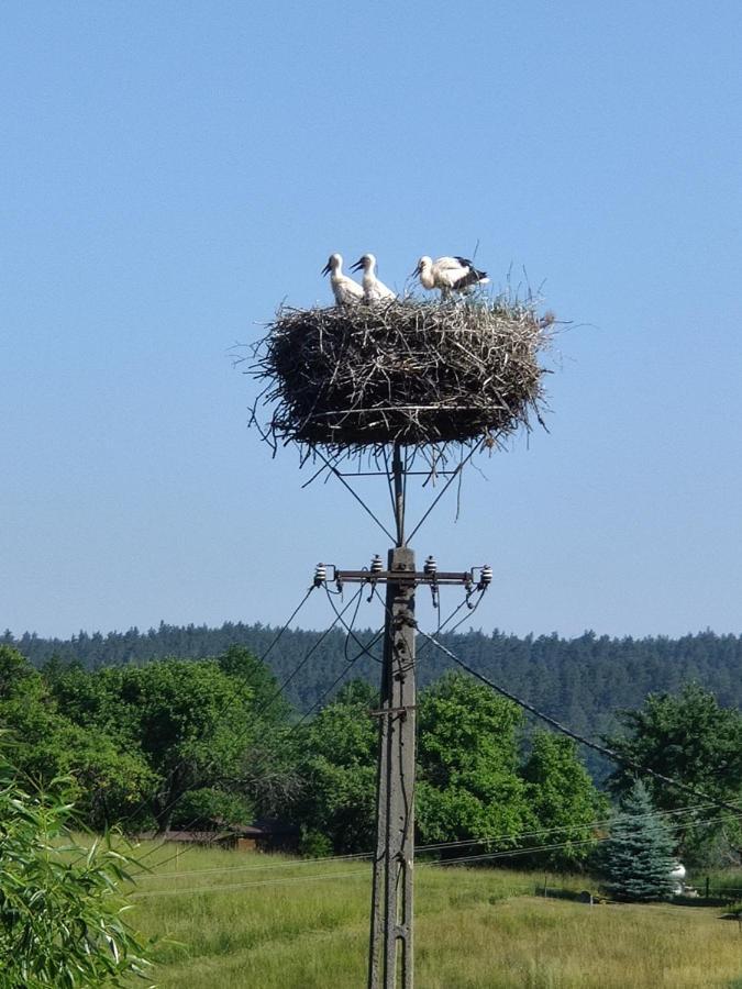 Pod Bocianim Gniazdem Villa Stary Folwark Kültér fotó